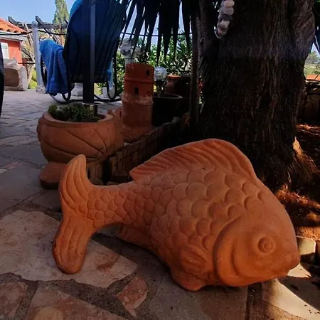 Mikula Casa de Férias Maslinica