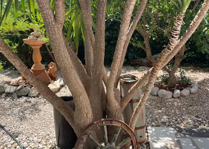 Сasa de vacaciones Mikula Maslinica